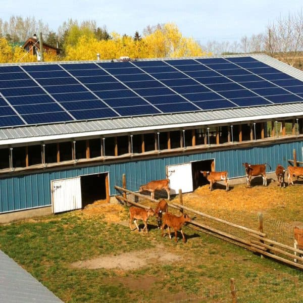 Vesol 50Kw 100Kw 150Kw 200Kw Commercial Solar Energy Storage System With Lithium Battery|Off Grid| Hybrid|On Grid